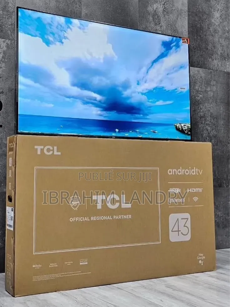 Les Télévisions