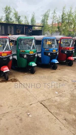 Nouveau Bajaj Avenger 220 Street 2025 Autre