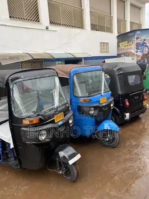Nouveau Bajaj Avenger 220 Street 2025 Autre