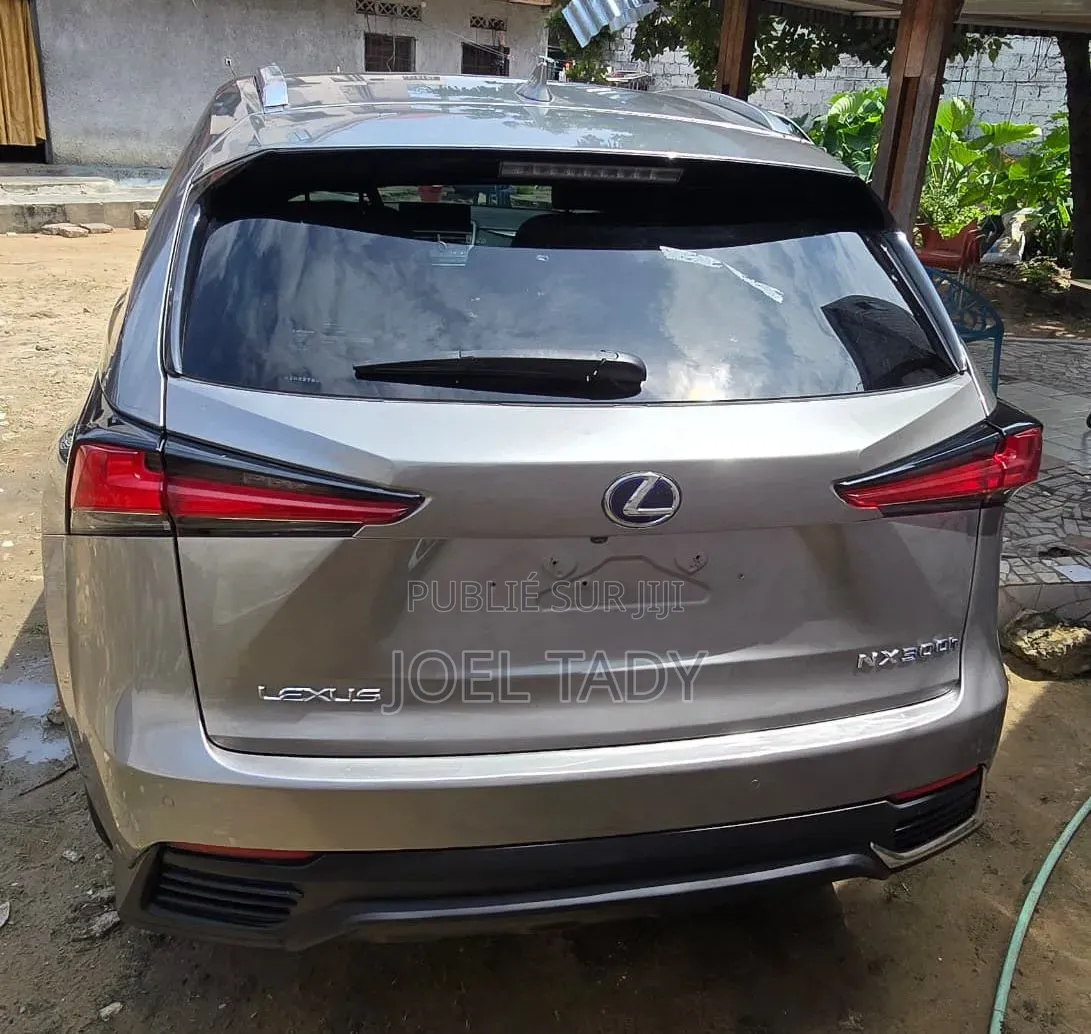 Lexus NX 2018 Gris