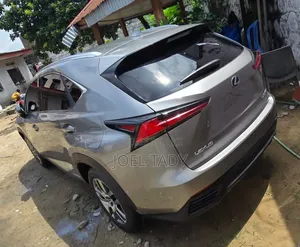 Lexus NX 2018 Gris