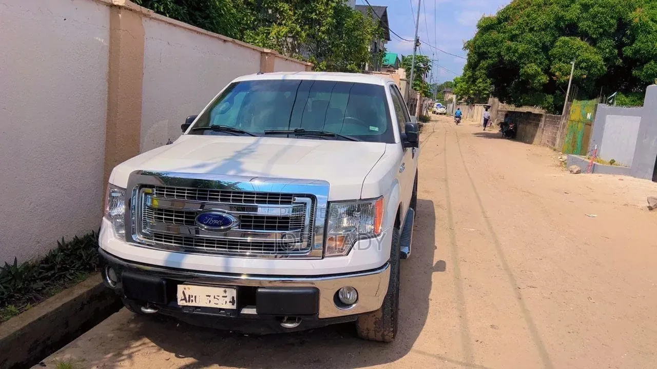 Ford F-150 2013 Blanc cassé