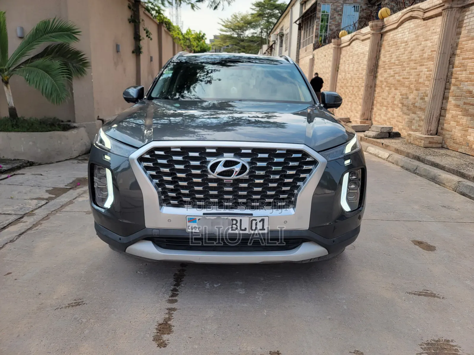 Hyundai Palissade Limited 2022 Gris