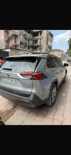Toyota RAV4 Hybrid 2021 Gris