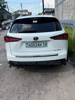Lexus NX 300 AWD 2019 Blanc cassé