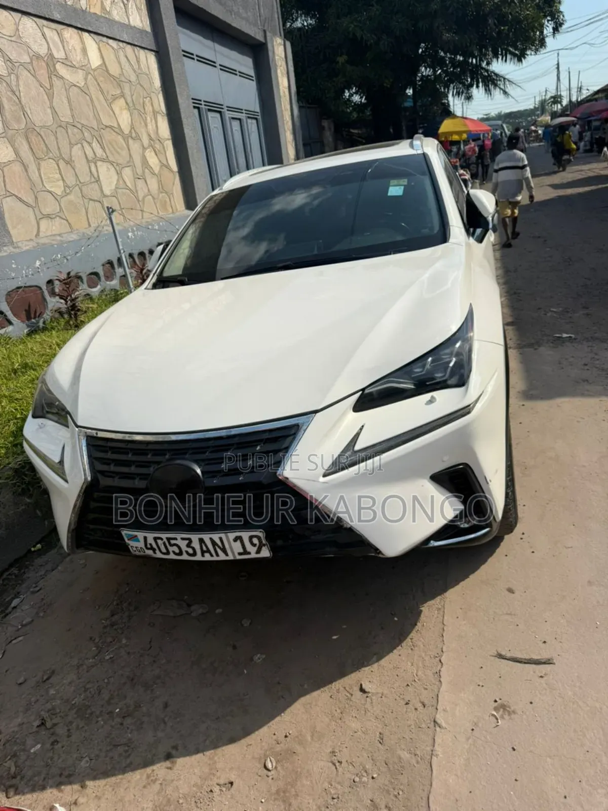 Lexus NX 300 AWD 2019 Blanc cassé