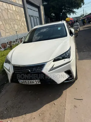 Lexus NX 300 AWD 2019 Blanc cassé