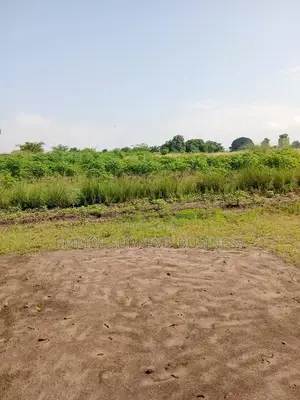 10 Hectares Mis en Vente Dans La Commune De N'sele/Kimpoko.