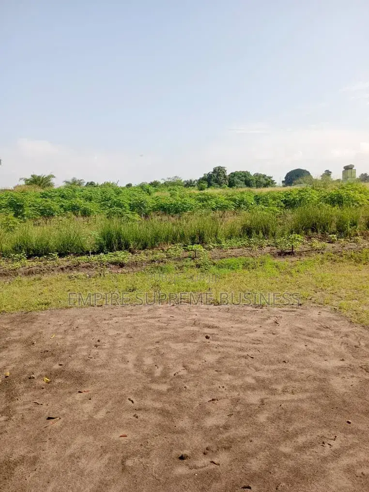 10 Hectares Mis en Vente Dans La Commune De N'sele/Kimpoko.