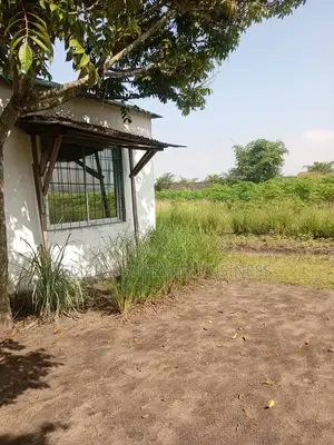 10 Hectares Mis en Vente Dans La Commune De N'sele/Kimpoko.
