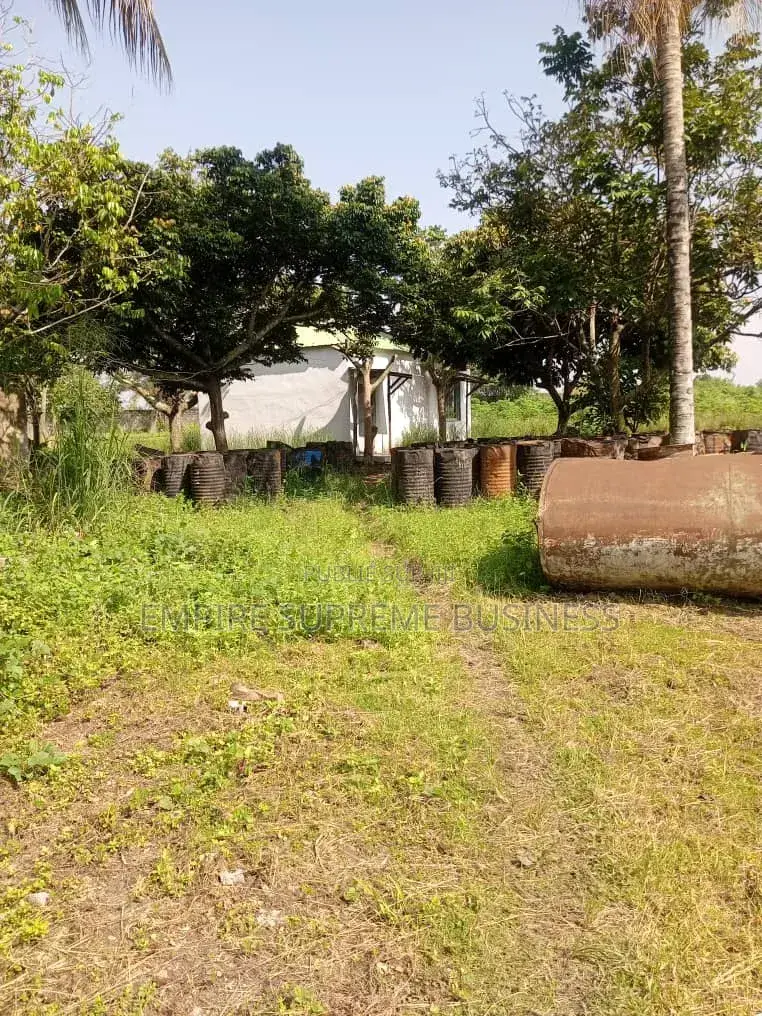 10 Hectares Mis en Vente Dans La Commune De N'sele/Kimpoko.