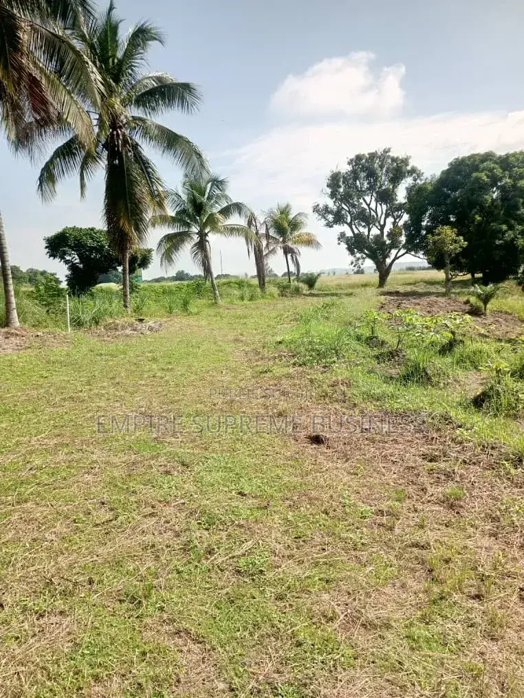 10 Hectares Mis en Vente Dans La Commune De N'sele/Kimpoko.