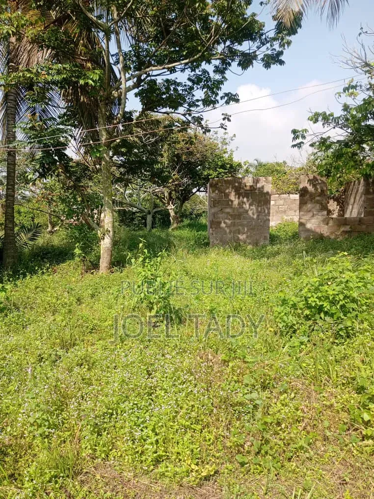 10 Hectares Mis en Vente Dans La Commune De N'sele/Kimpoko.