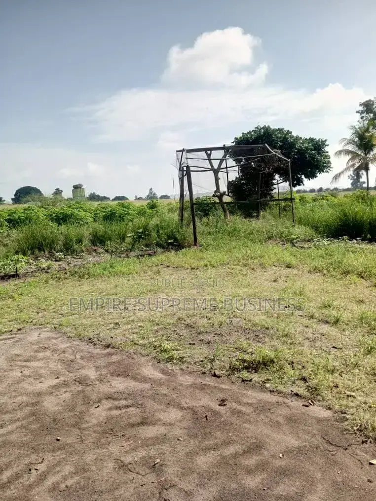 10 Hectares Mis en Vente Dans La Commune De N'sele/Kimpoko.