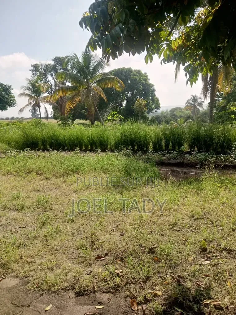 10 Hectares Mis en Vente Dans La Commune De N'sele/Kimpoko.