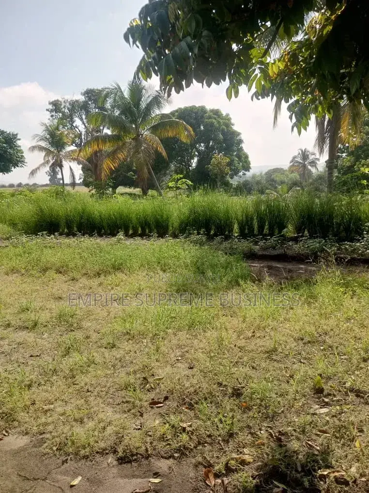 10 Hectares Mis en Vente Dans La Commune De N'sele/Kimpoko.