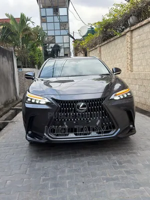 Lexus RX 2025 Gris
