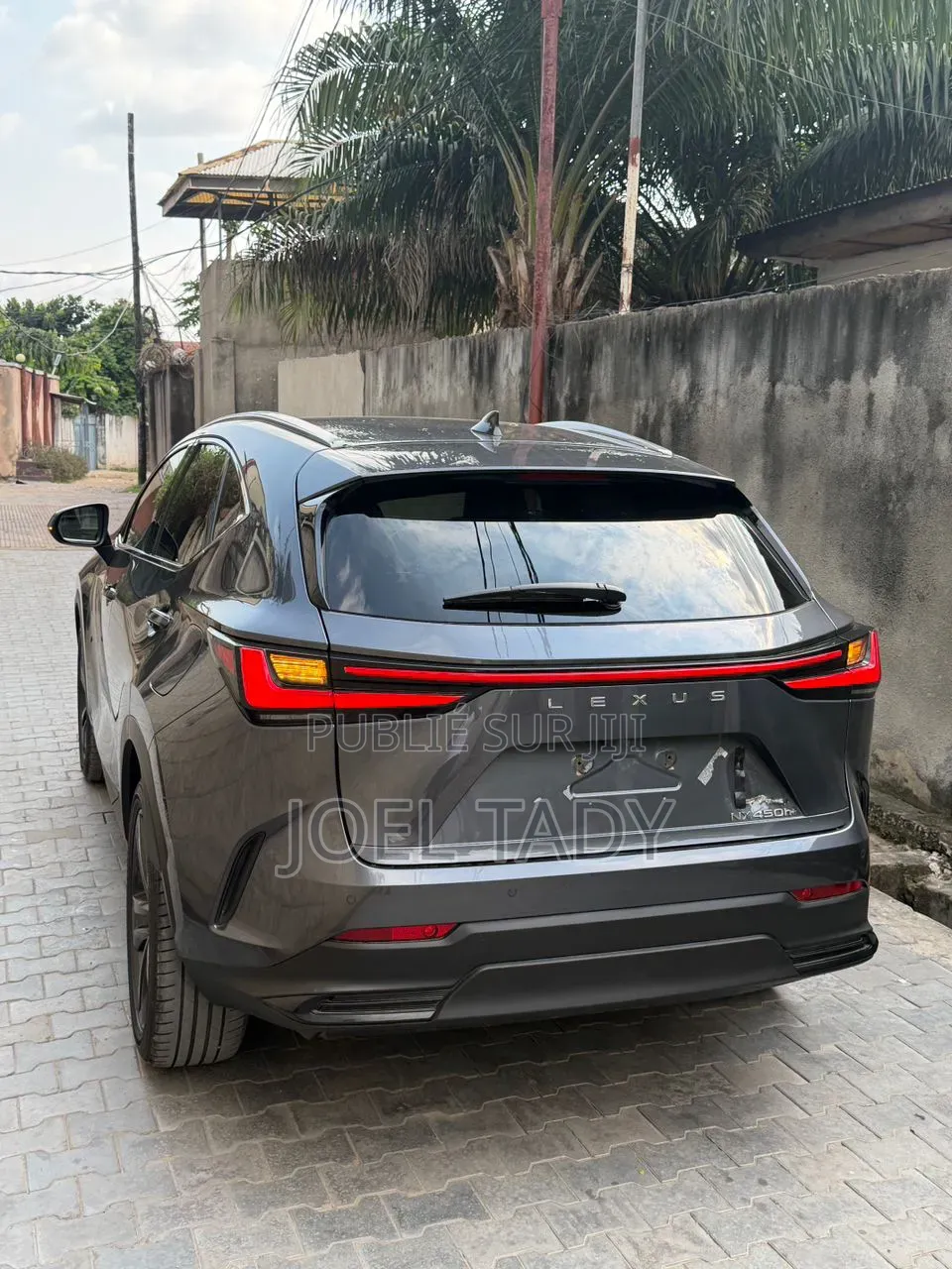 Lexus RX 2025 Gris