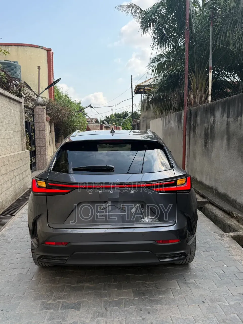 Lexus RX 2025 Gris