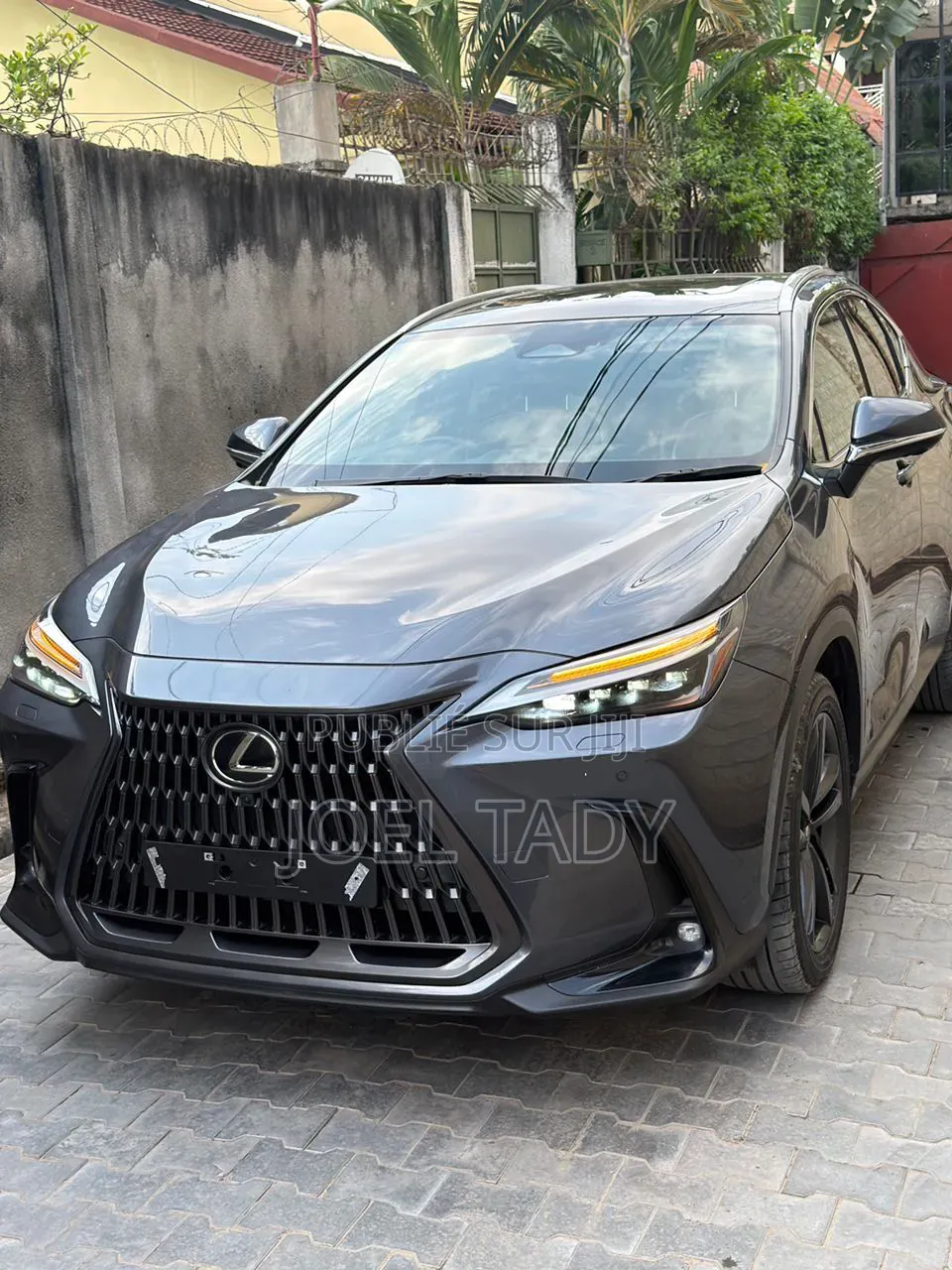 Lexus RX 2025 Gris