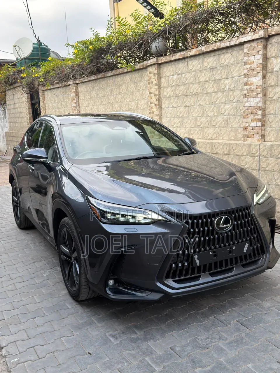 Lexus RX 2025 Gris