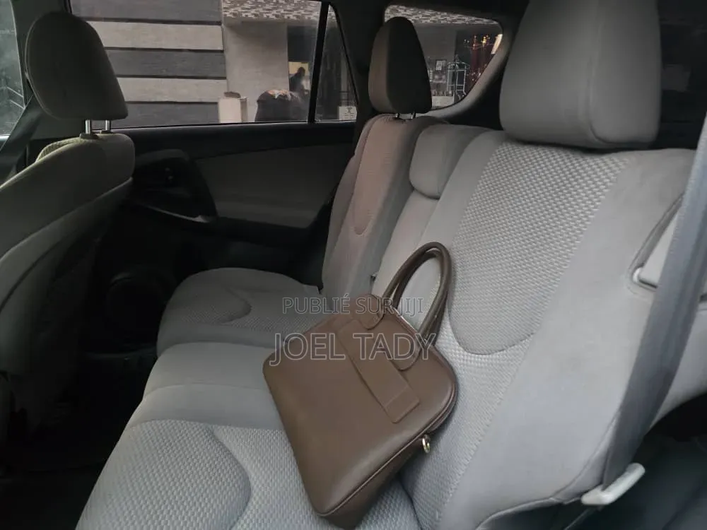 Toyota RAV4 2011 Gris
