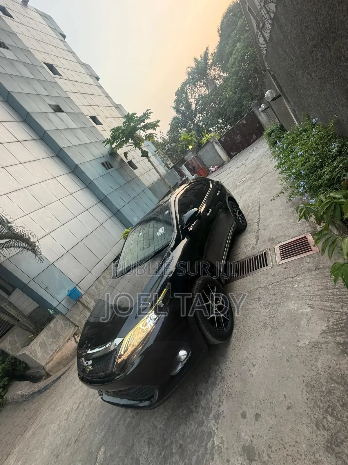 Toyota Harrier Progress 2019 Blanc