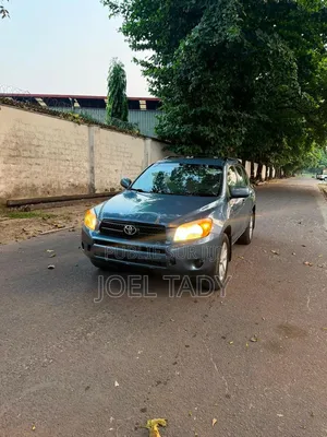 Toyota RAV4 2013 Bleu