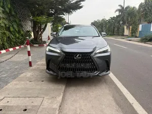 Lexus NX 2024 Gris