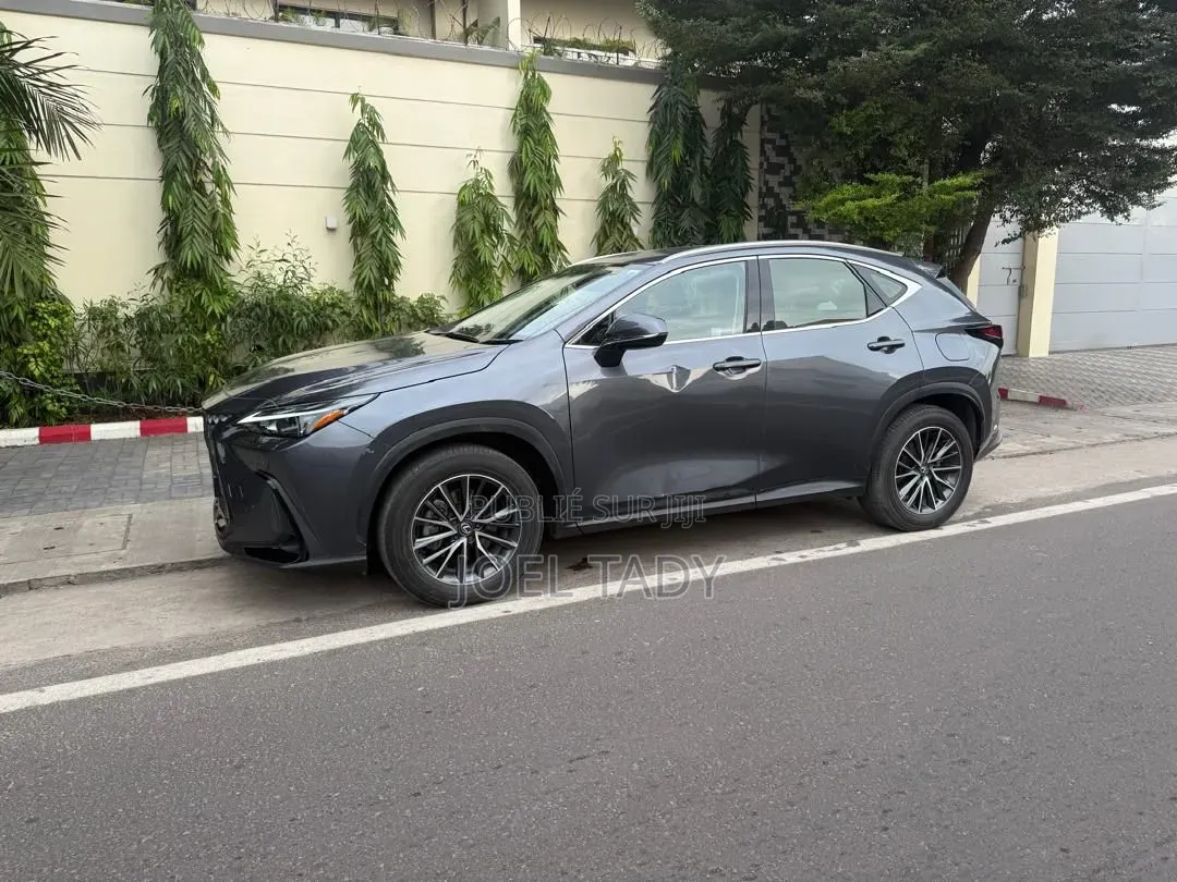 Lexus NX 2024 Gris