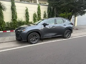 Lexus NX 2024 Gris