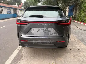 Lexus NX 2024 Gris