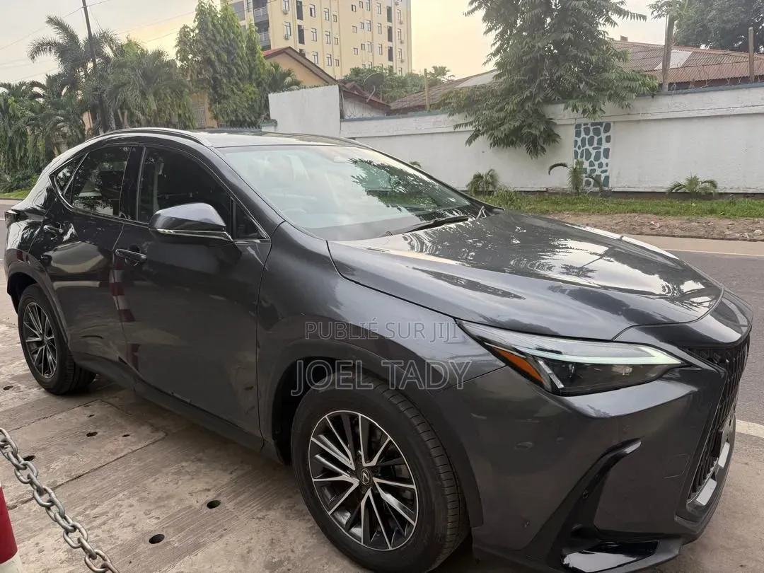 Lexus NX 2024 Gris