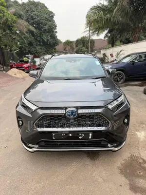 Toyota RAV4 2025 Gris