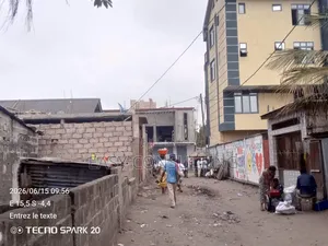 Parcelle À Vendre À N'sele Terre Jaune – Proche Du Macadam