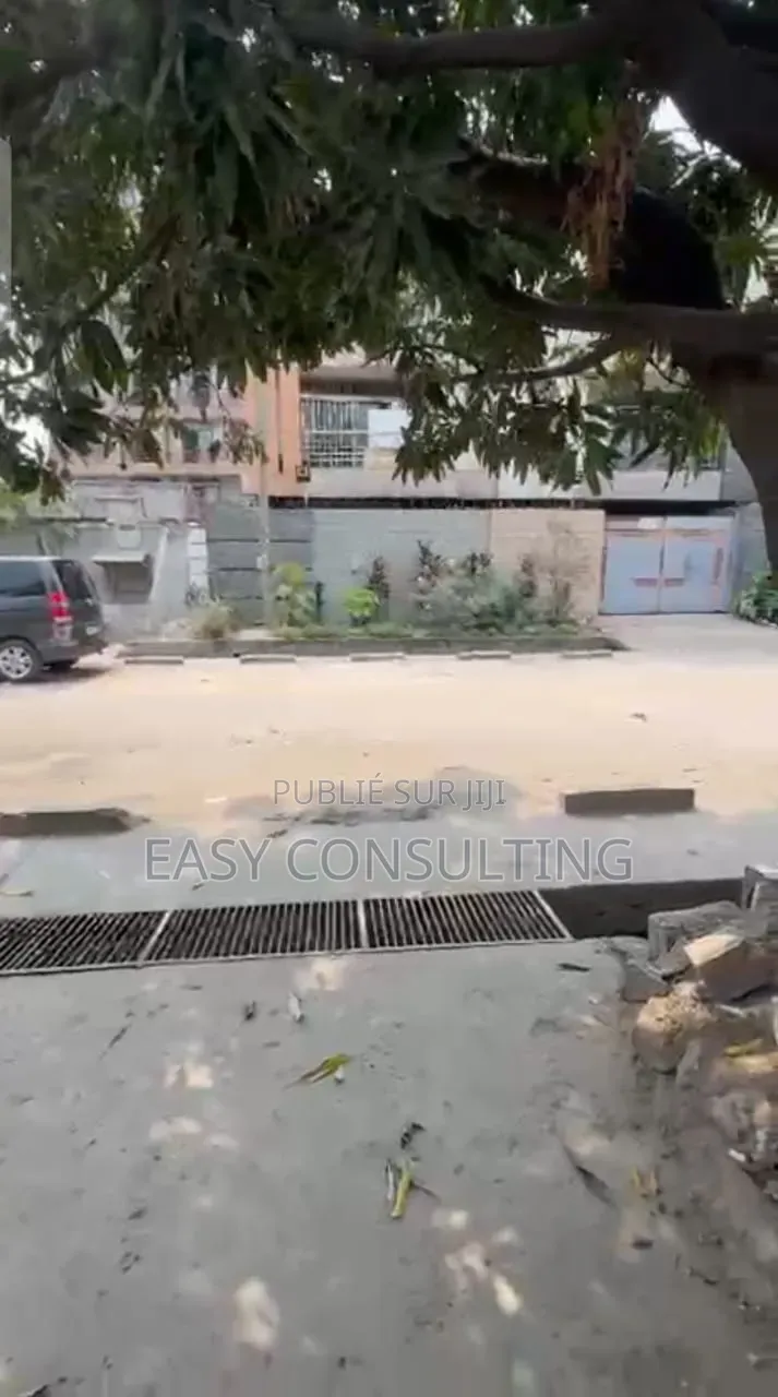 Parcelle À Vendre À Barumbu Bon Marché Libanais
