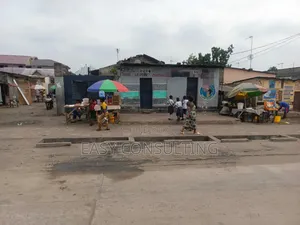 Parcelle Commerciale Clôturée Sur Macadam À Vendre À N'djili Q13