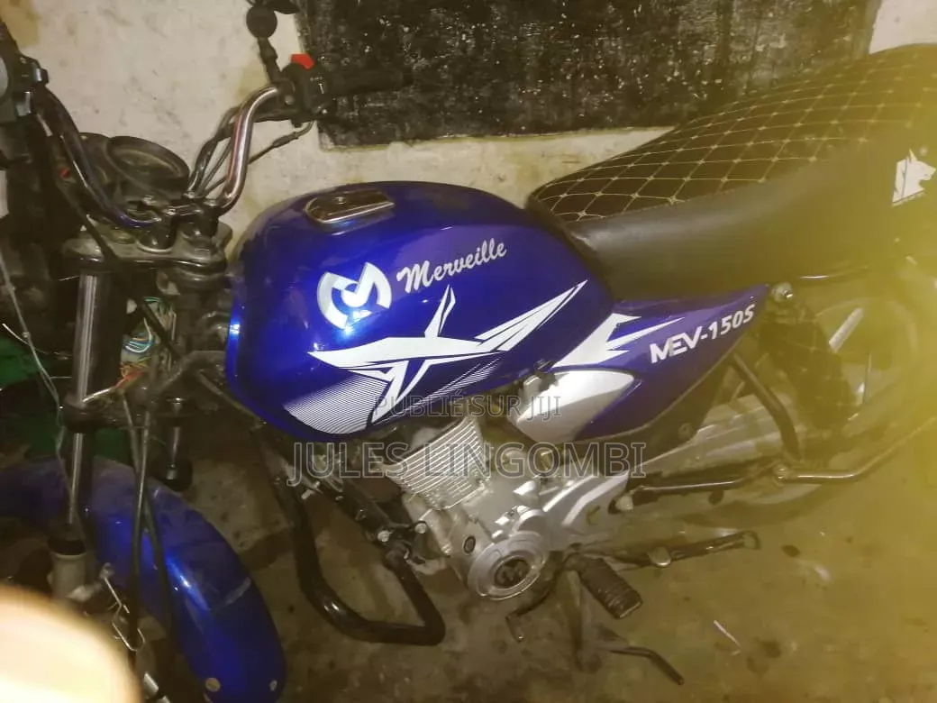TVS HLX 125 2024 Bleu
