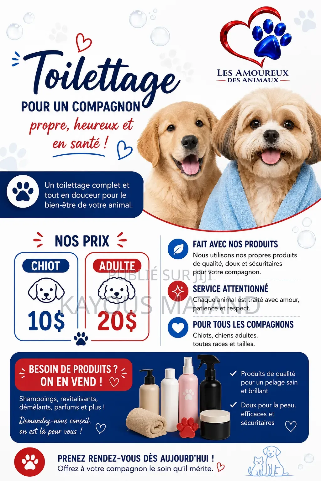 Les Amoureux Des Animaux Services Canin De Lubumbashi Et