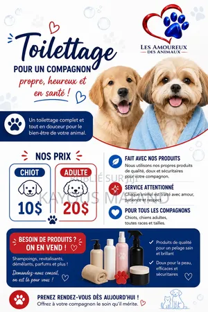 Les Amoureux Des Animaux Services Canin De Lubumbashi Et
