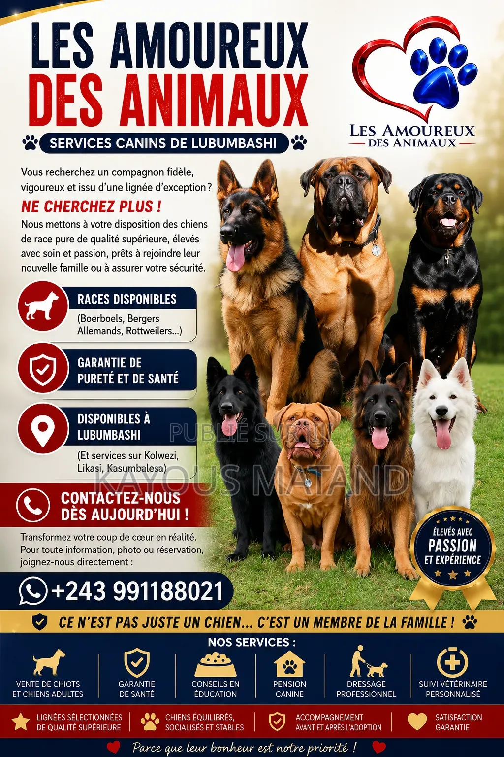 Les Amoureux Des Animaux Services Canin De Lubumbashi Et