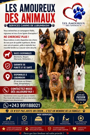 Les Amoureux Des Animaux Services Canin De Lubumbashi Et