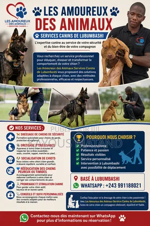 Les Amoureux Des Animaux Services Canin De Lubumbashi Et