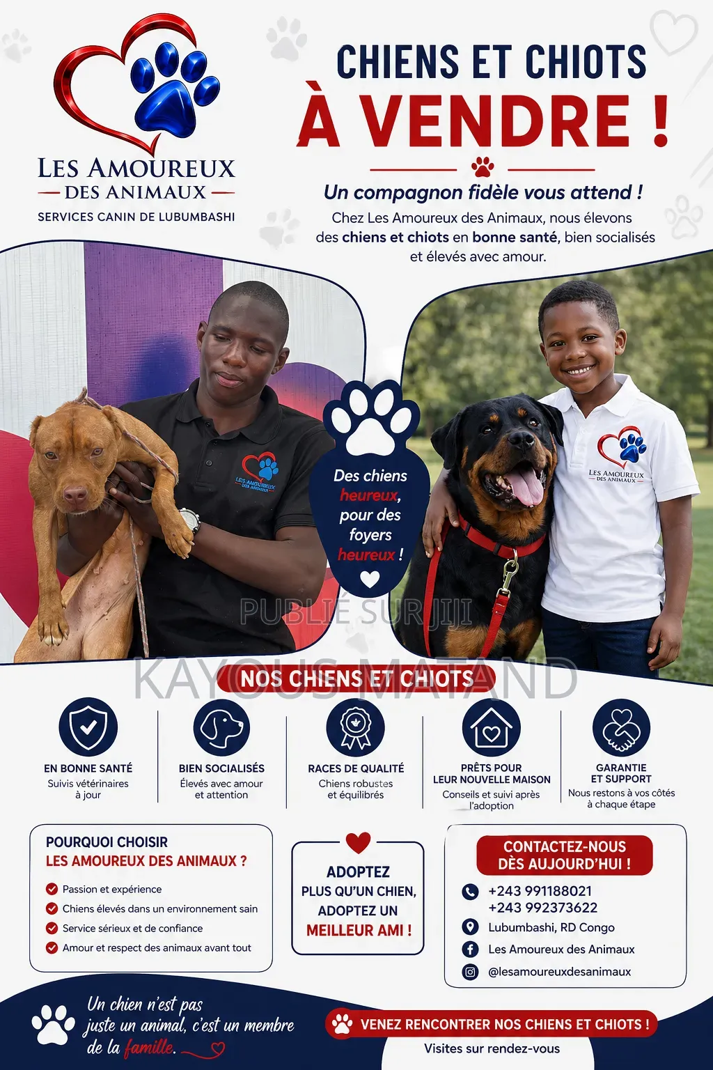 Les Amoureux Des Animaux Services Canin De Lubumbashi Et
