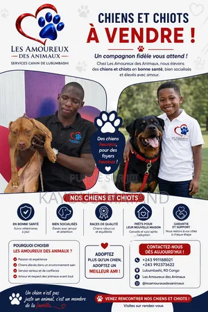Les Amoureux Des Animaux Services Canin De Lubumbashi Et