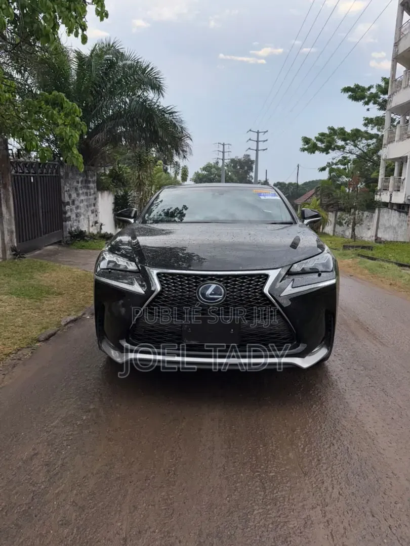 Lexus RX 2024 Bleu