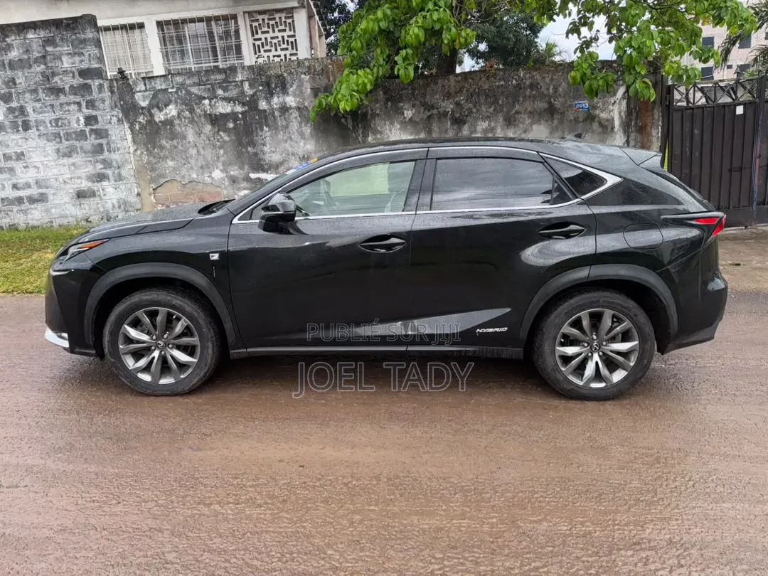 Lexus RX 2024 Bleu