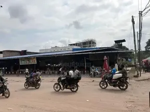 Parcelle À Vendre À Bon Marché Libanais – Barumbu (Avenue Flambeau)