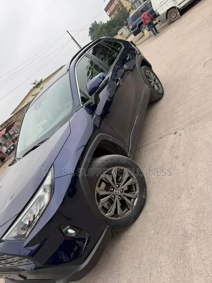Toyota RAV4 Hybrid 2024 Bleu