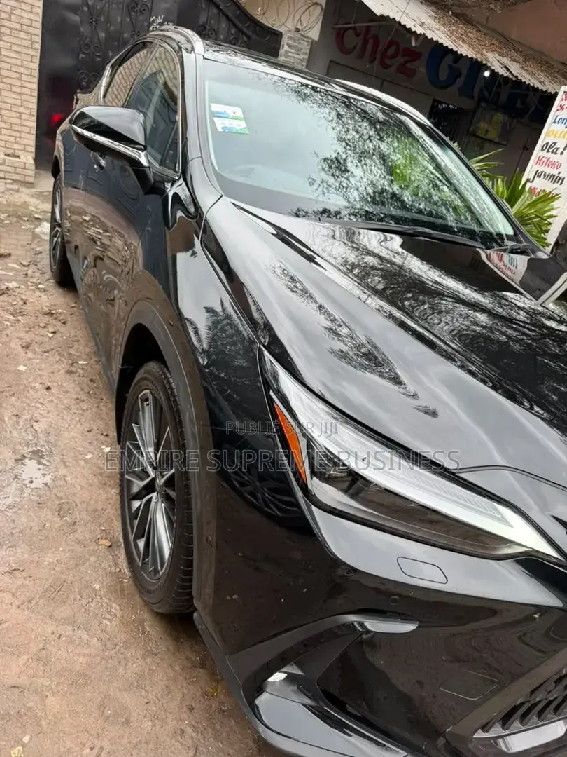 Lexus NX 2024 Noir
